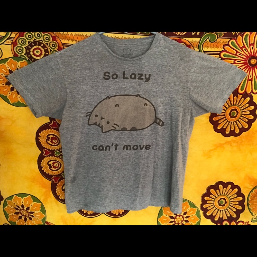 Pusheen , So Lazy Can’t Move!
